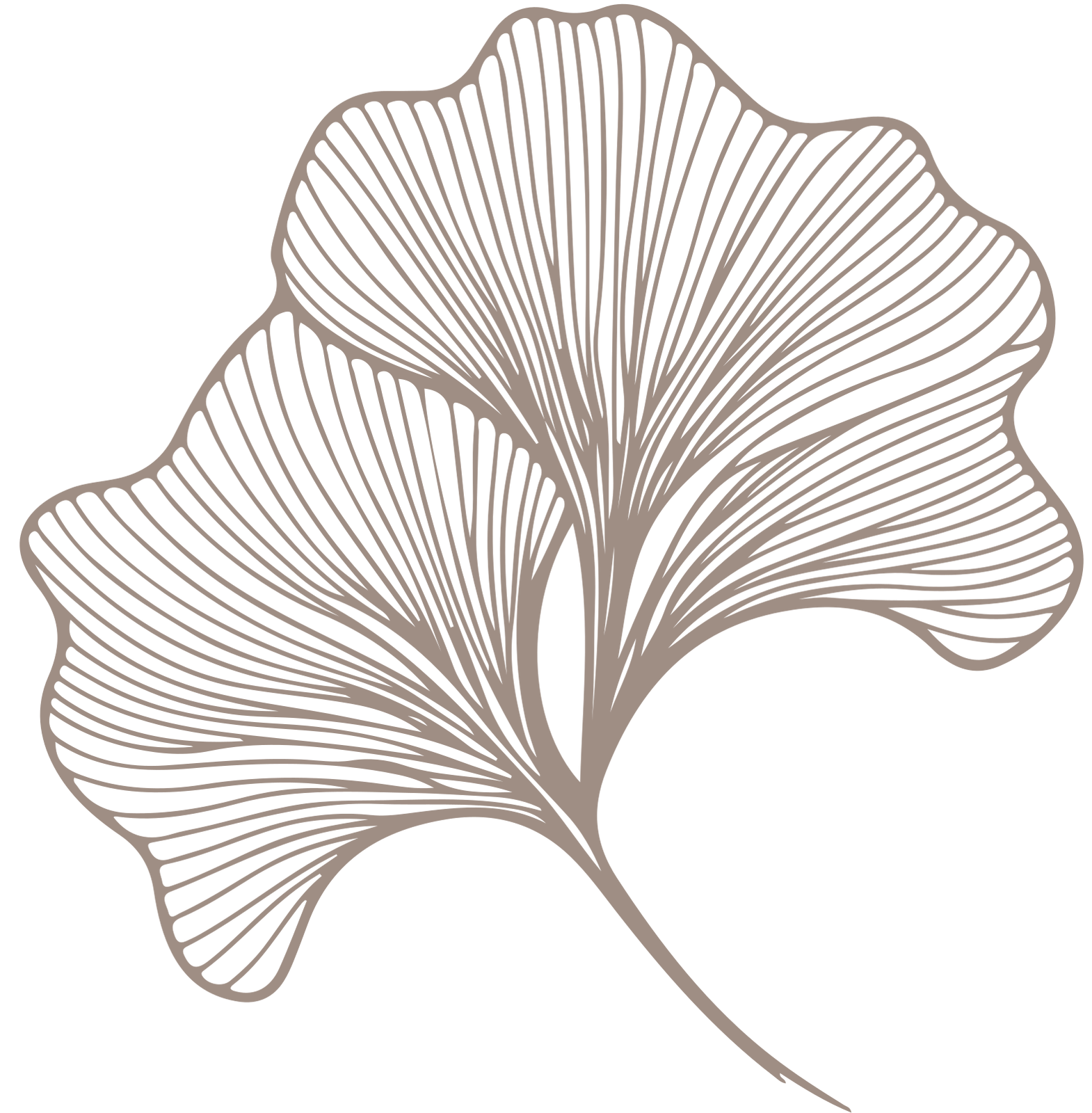 Decorative flower background