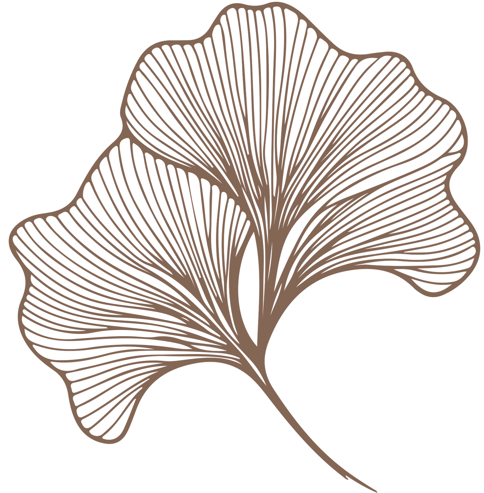 Decorative flower background